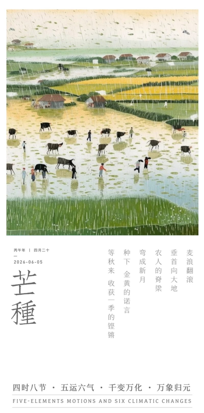 芒种节气海报
