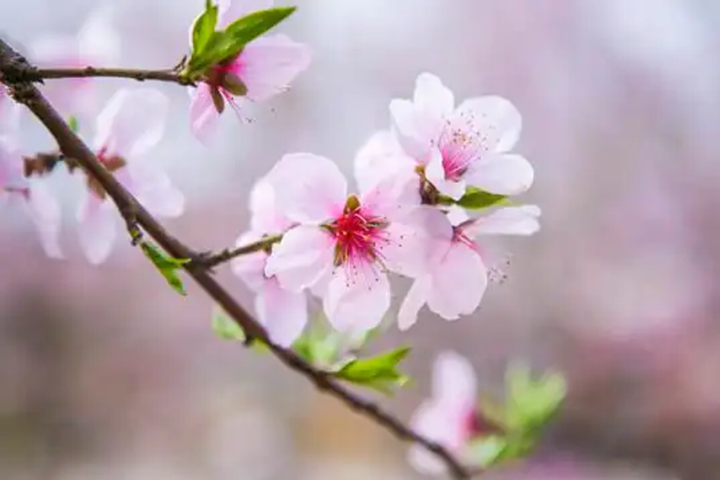 春分