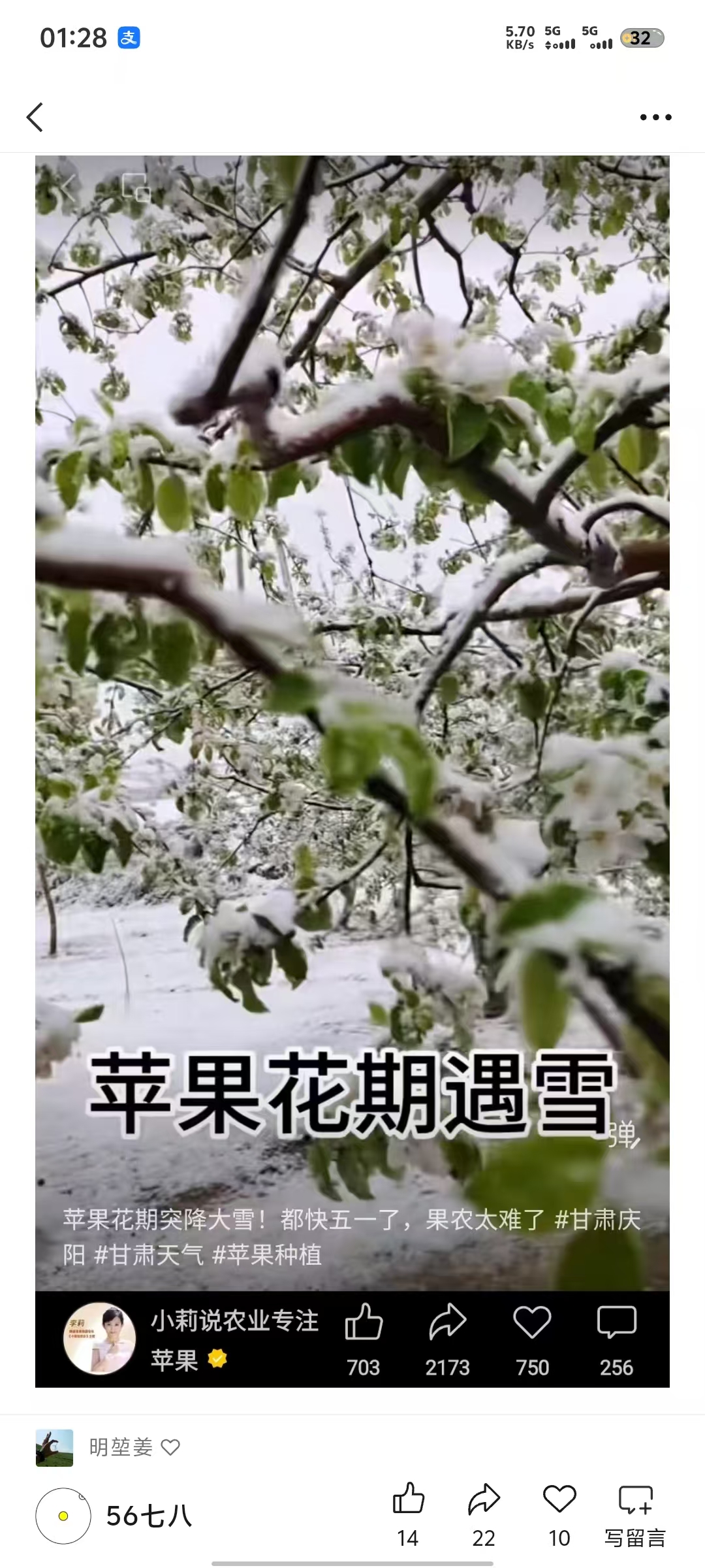 谷雨