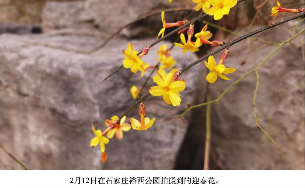 立春